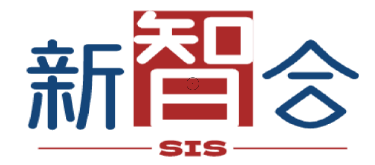 深圳市新智合电子有限公司